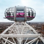 London Eye and Mr White London Eye Pod
